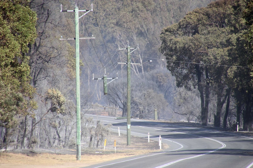 A wide shot of power poles and bushland lining the side of a road with one power pole burnt out in the middle from a bushfire.