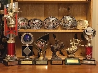 Multiple belt buckles and trophies on two shelves