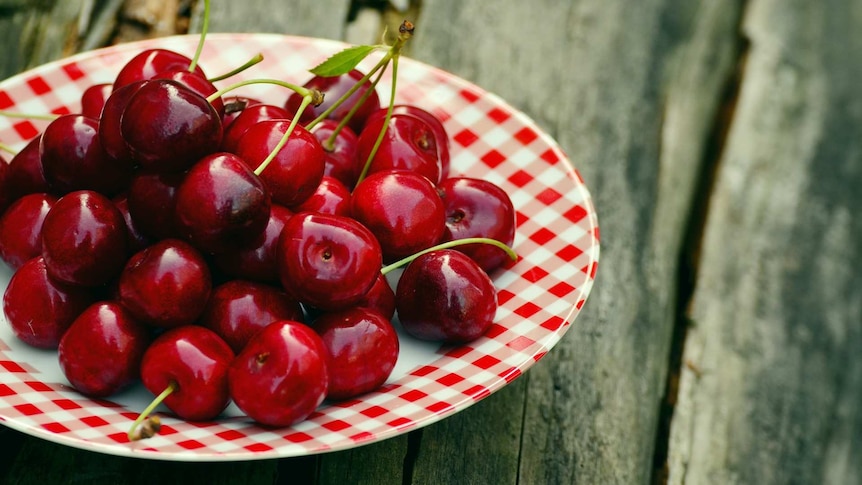 A plate full of fresh cherries, some still with the stems attached.
