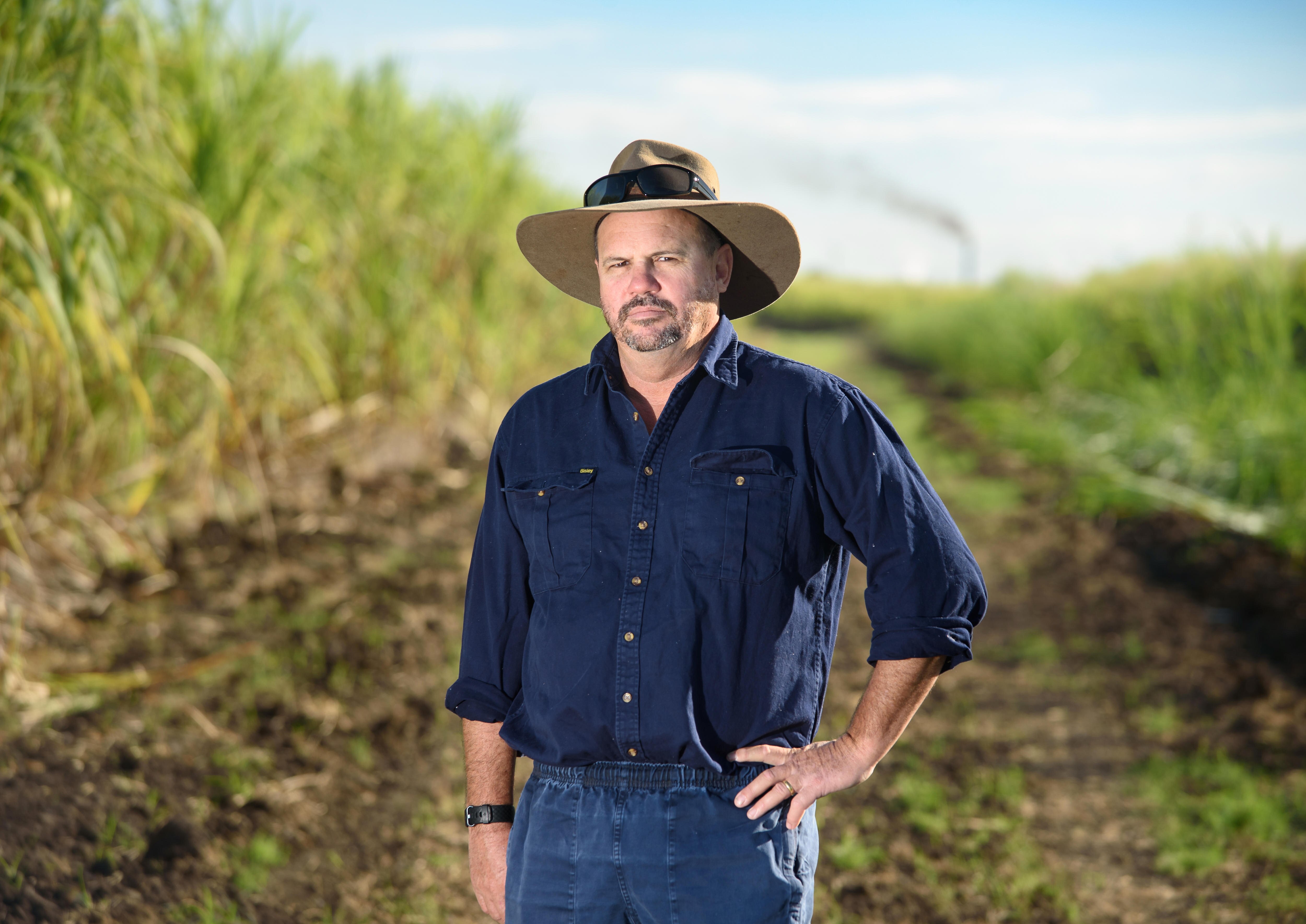 Canegrower in blue shirt and hat stands in a sugarcane field