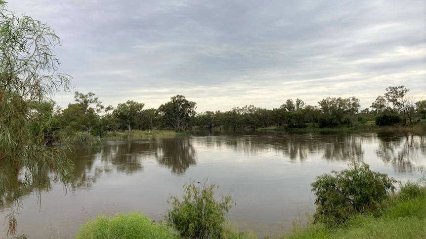 A large water body and green trees either side.