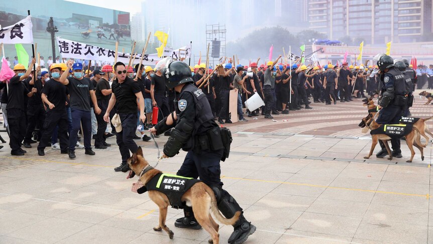 Riot police with dogs advance on a group of men wielding sticks