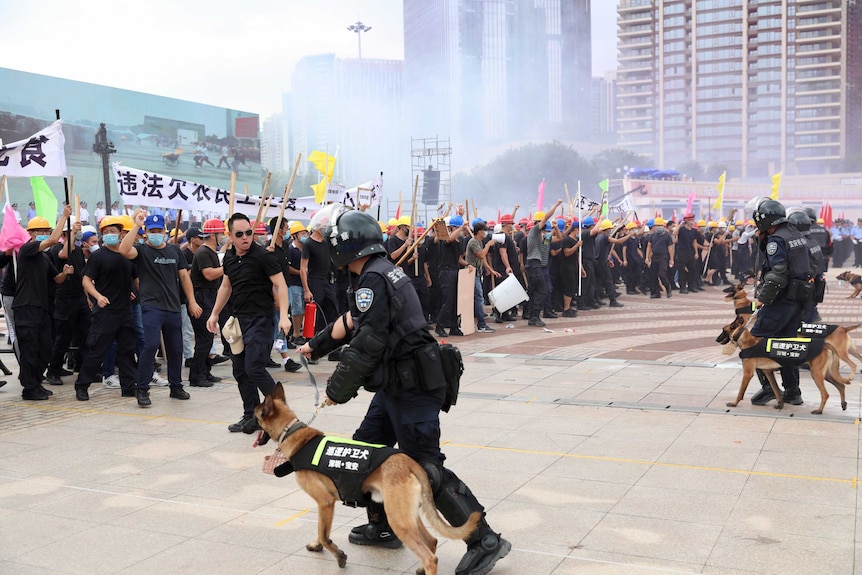 Riot police with dogs advance on a group of men wielding sticks