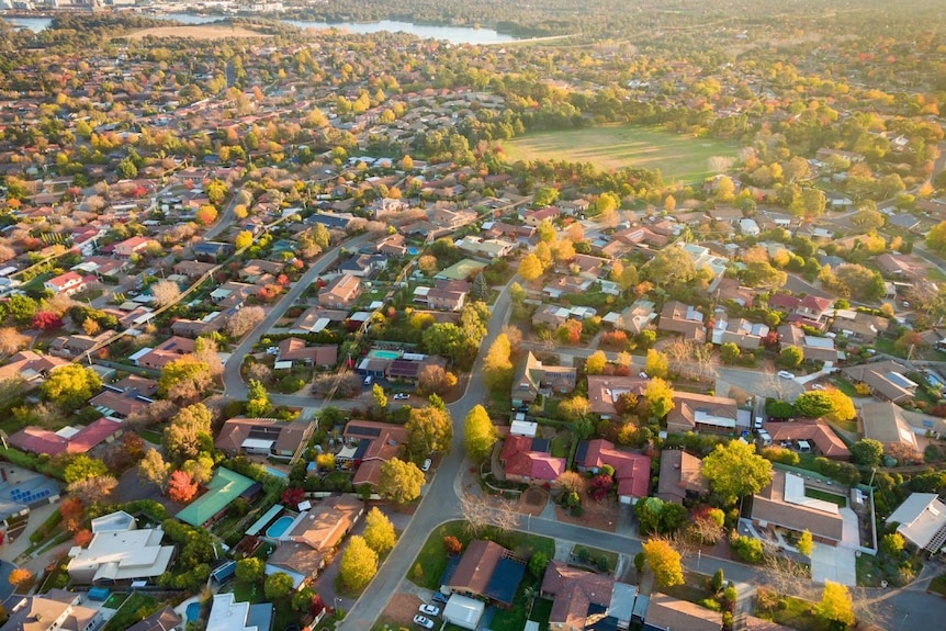 A bird's eye view of a leafy suburb full of houses.