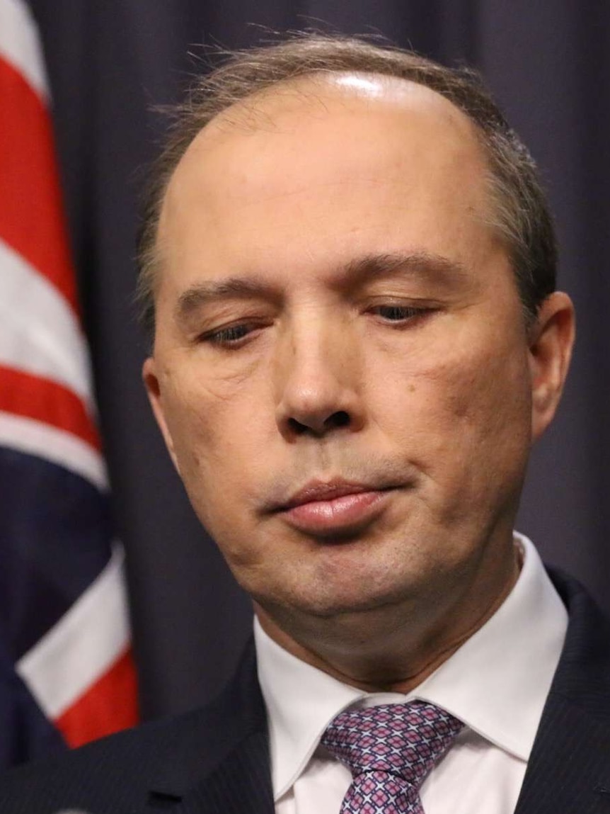 Peter Dutton's comments have been condemned by Labor and the Greens.