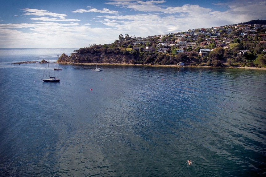 Yachts moored in a bay with a hill full of houses in the background