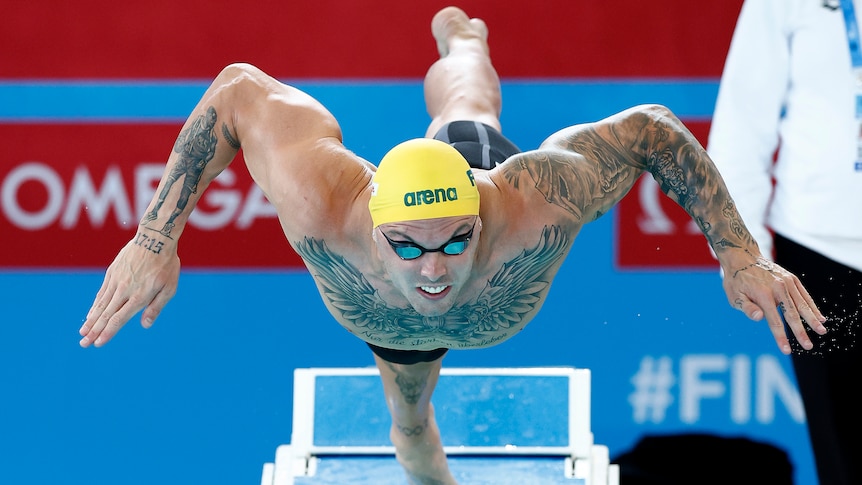 Kyle Chalmers leaps from the starting blocks at the world short course championships.