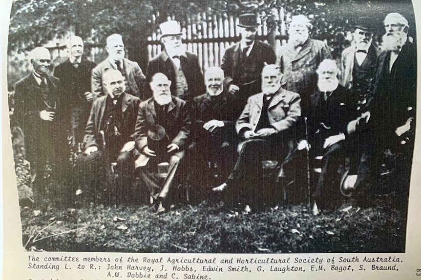 a group of male councilors 
