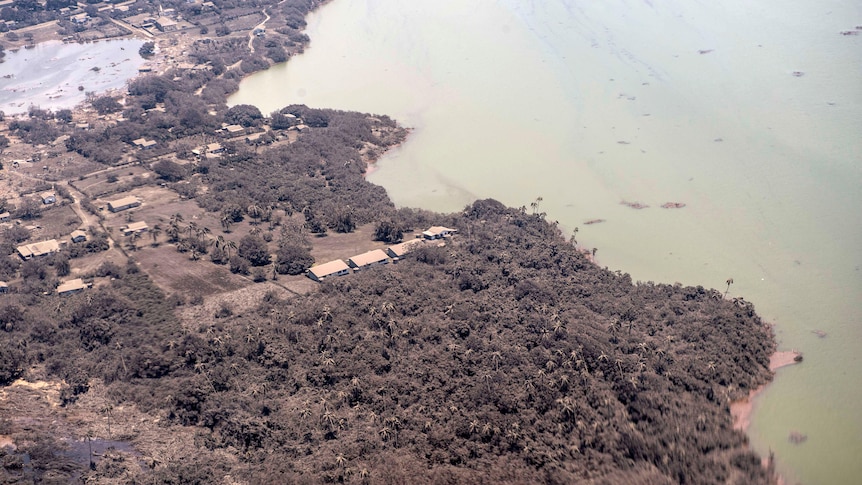 Volcanic ash covers roof tops and vegetation in an area of Tonga