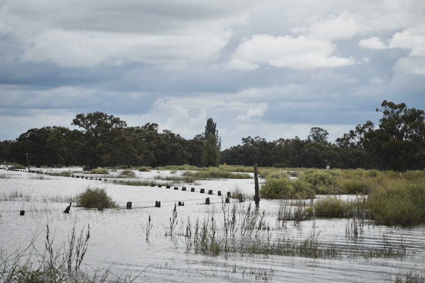 Flooded farmland.