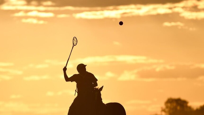Polocrosse being played at sunset.