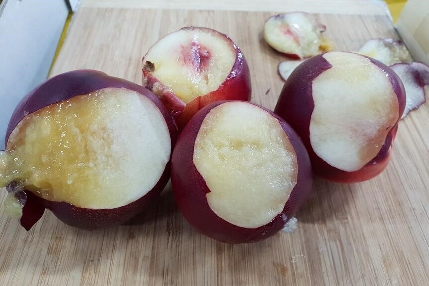 Stone fruit hit by extreme heat and direct sunlight
