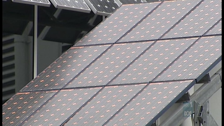 Government criticised for ignoring Australian solar expertise