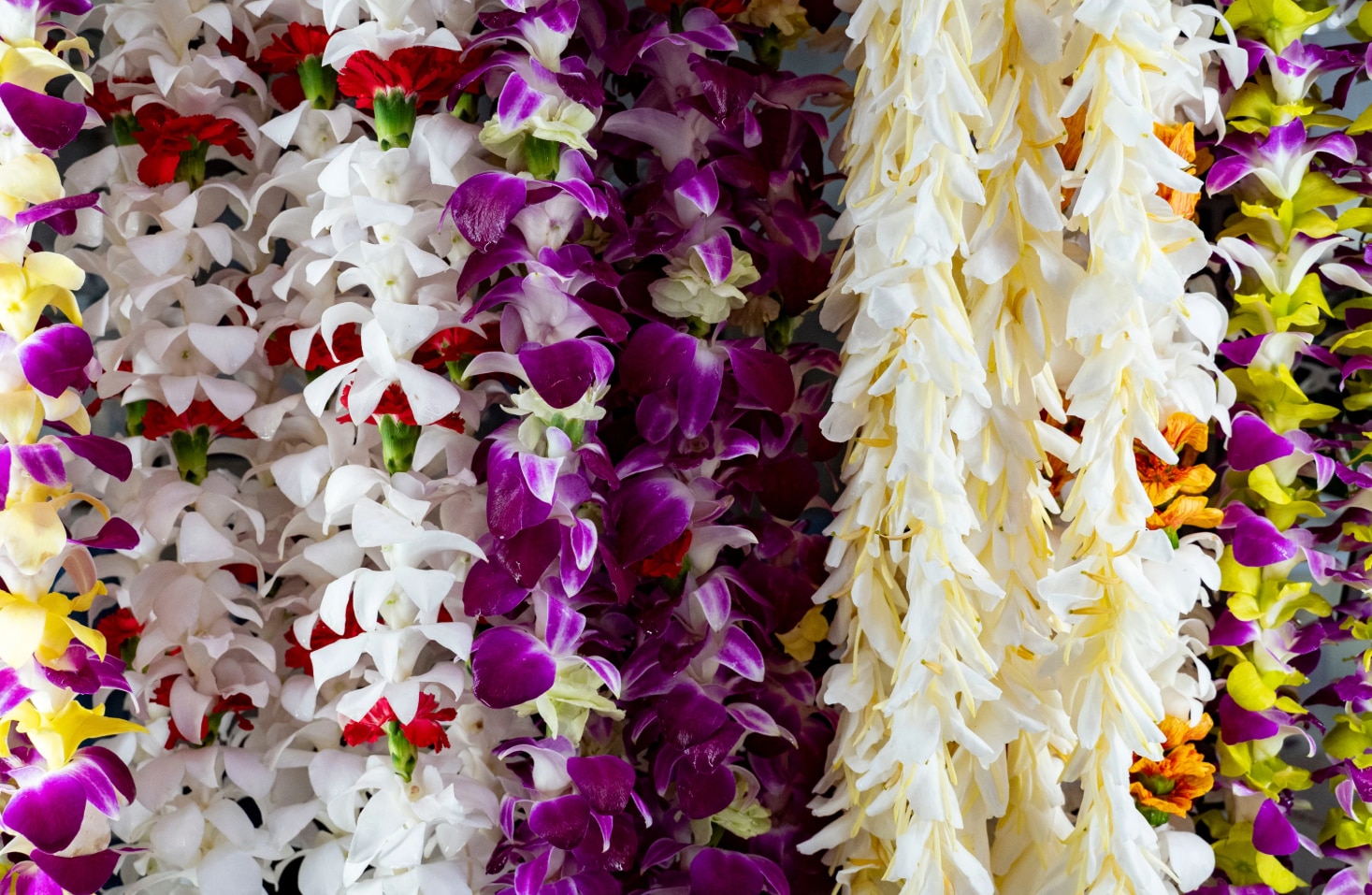 Lei hang inside a refrigerator at Cindy's Lei Shop in Chinatown