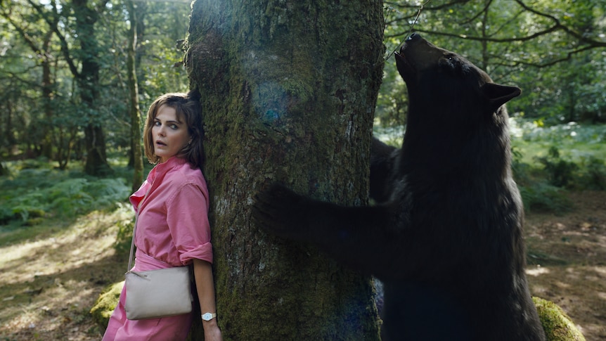 White woman with brown hair wears a pink jumpsuit and hides behind a tree while a large bear climbs from the other side.