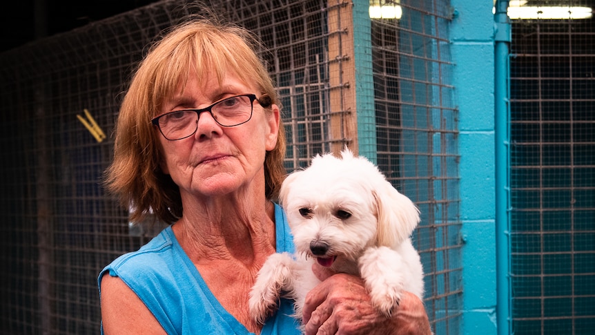 Caucasian middle-aged woman wearing a blue shirt and reading glasses holds a fluffy white dog afront a shelter.