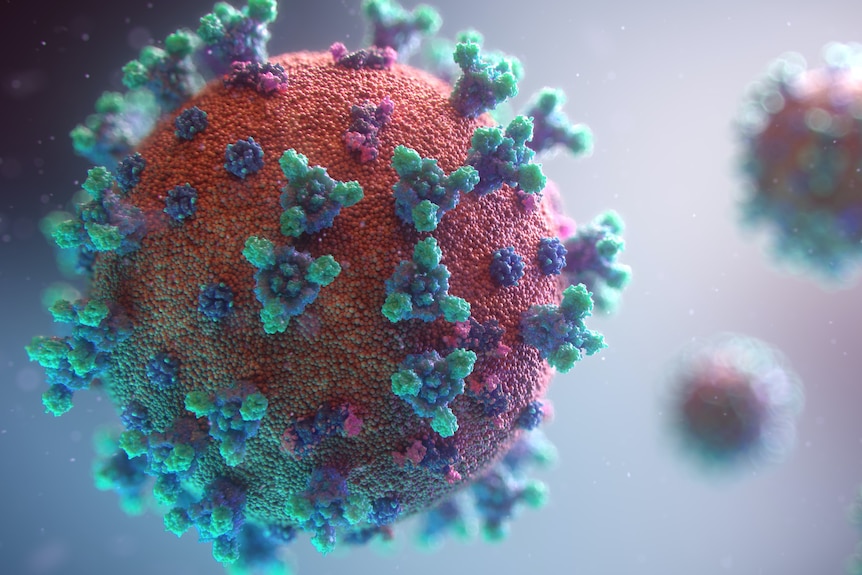 Scientific image of coronavirus