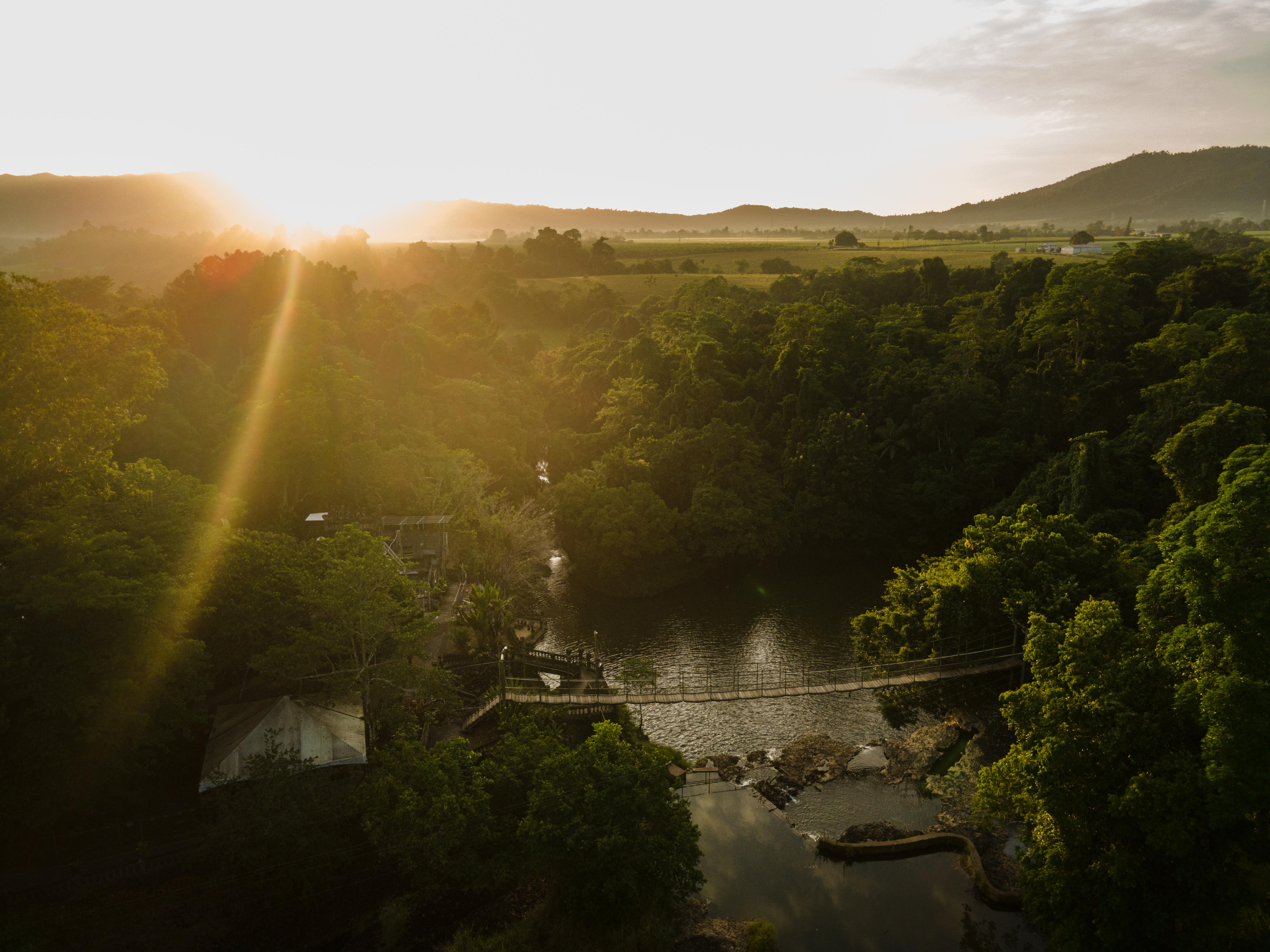 El sol sale sobre una selva tropical cerca de un puente de cuerda.