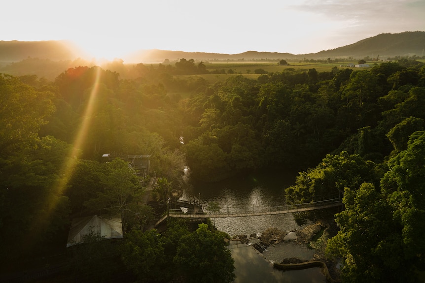 The sun rise over a rainforest near a rope bridge.