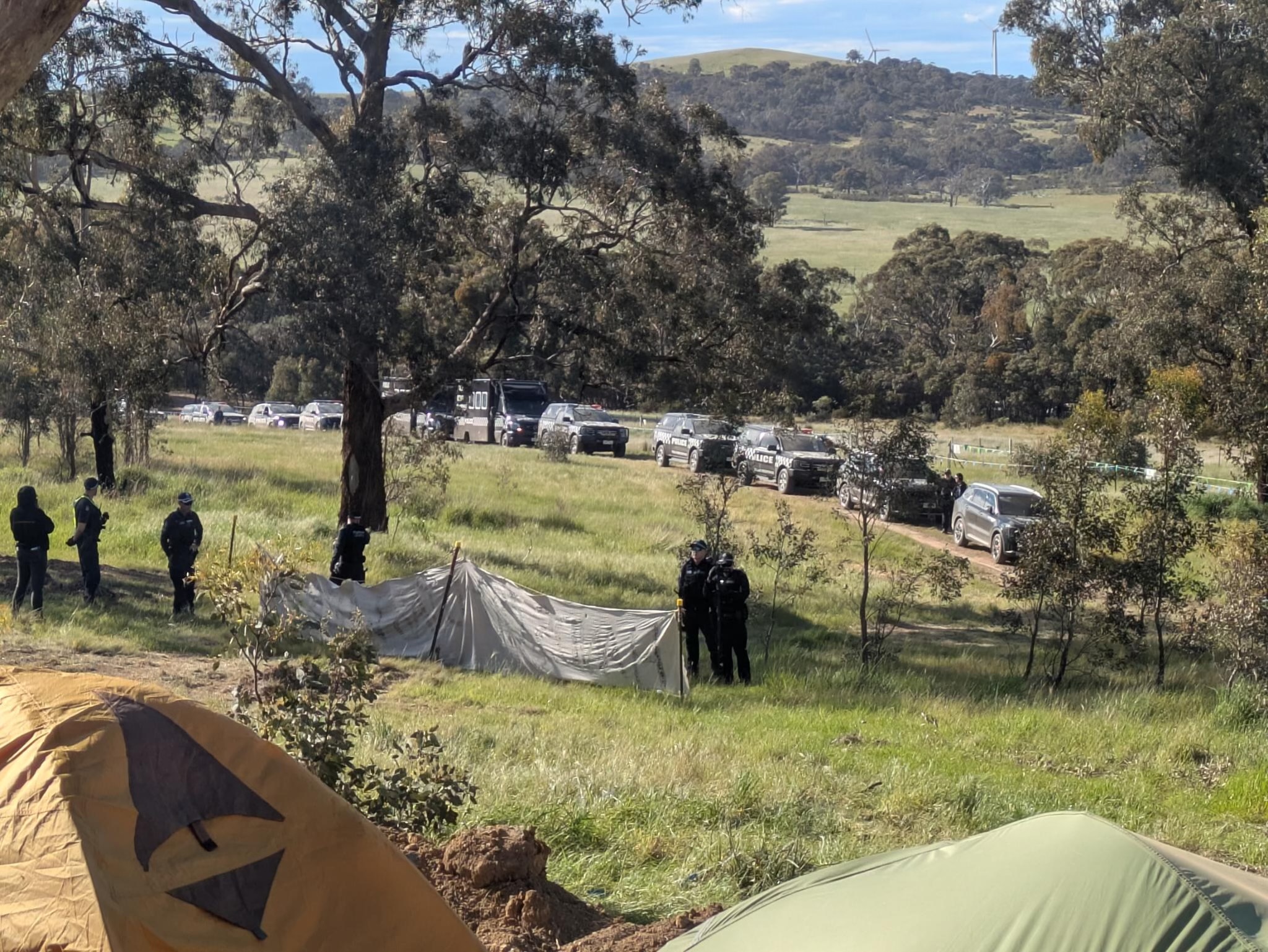 Man arrested as protests reignite over tree removal for Victorian highway