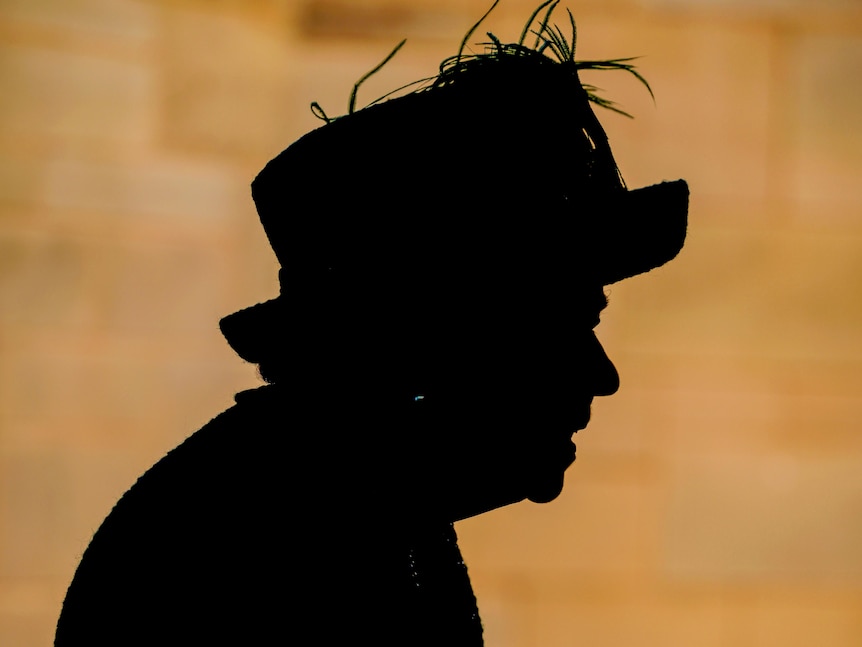 Queen Elizabeth silhouetted against a brick wall 