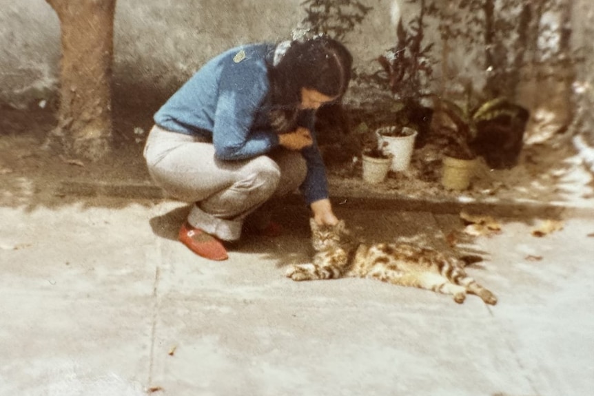 An old photo of a girl patting a cat outside.