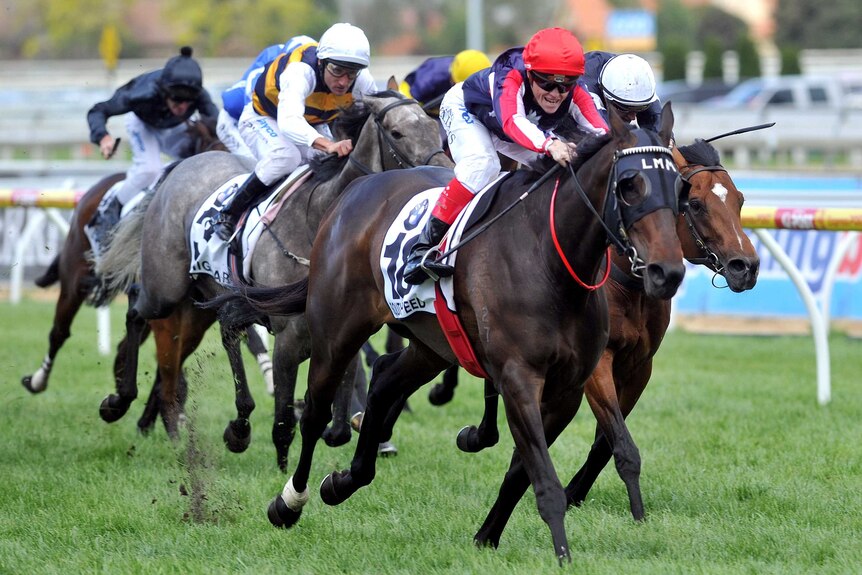 Southern Speed wins the 2011 Caulfield Cup