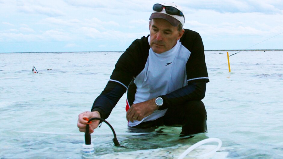 Marine biologist Ove Hoegh-Guldberg works with monitoring equipment in shallow water.