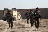 Afghan National Army (ANA) soldiers walk in Helmand
