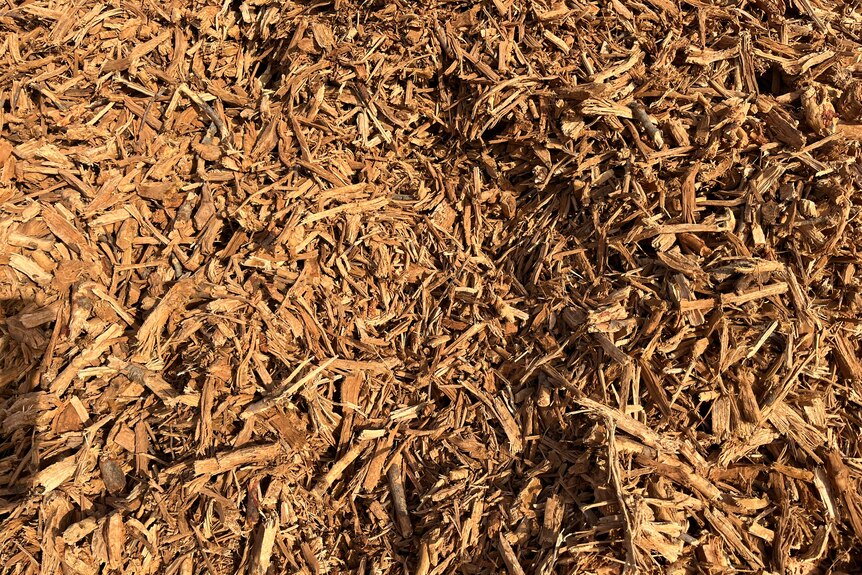 A pile of almond wood chips