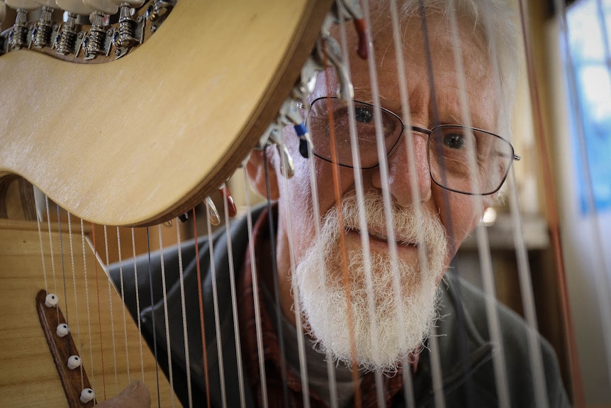 Man looks through the strings of a harp