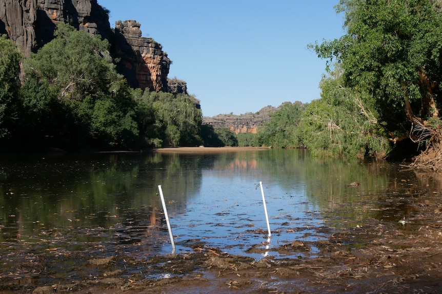 A photo of windjana gorge with stakes