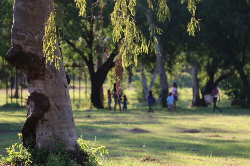 Children play in a field, a big willow tree stands in the foreground