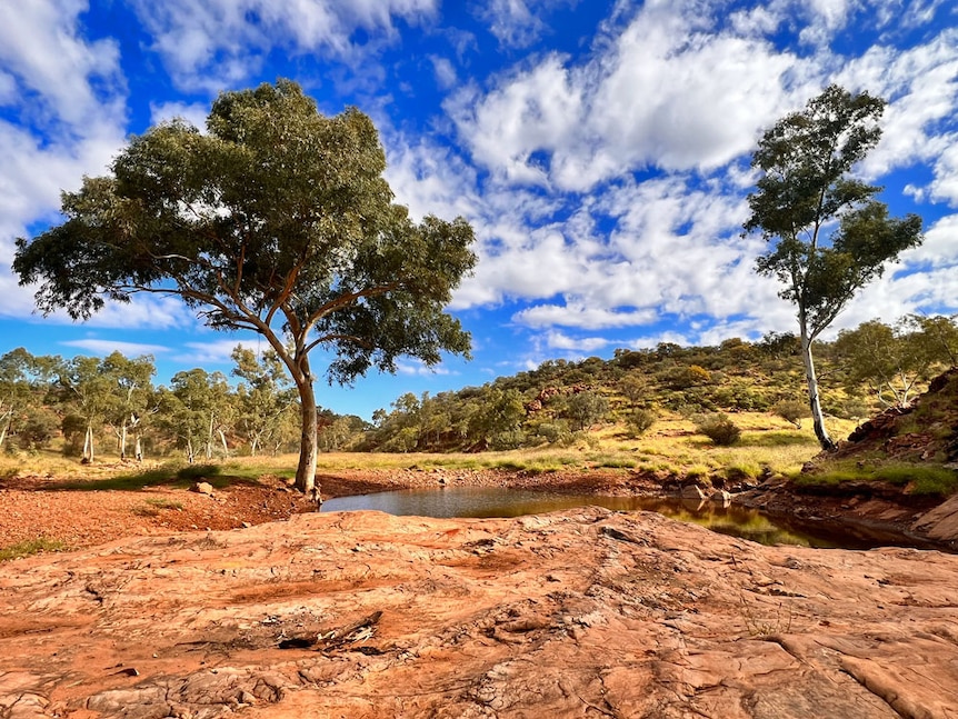 Alice Springs landscape.
