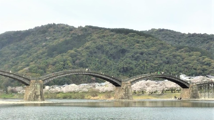 Rob Watson's photo of the Kintai Bridge in Iwakuni which was build in 1673.