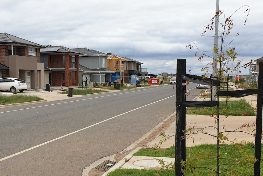 A suburb at Tarneit with new houses and only a few newly-planted trees.