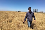 A man standing in a field of grain.