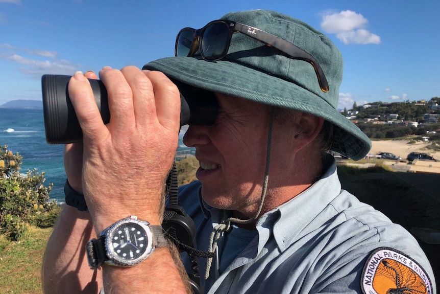 National Parks and Wildlife Service Ranger looking through binoculars