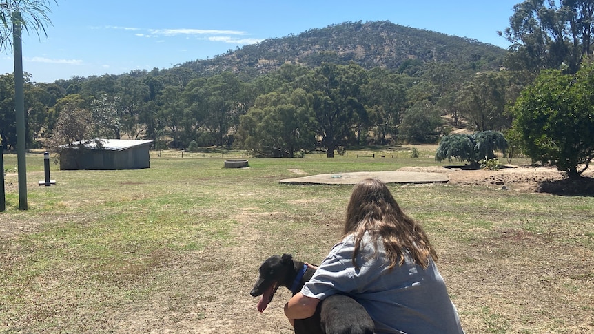 The back of a woman, crouching down embracing a black greyhound, infront of a mountain farm view. 
