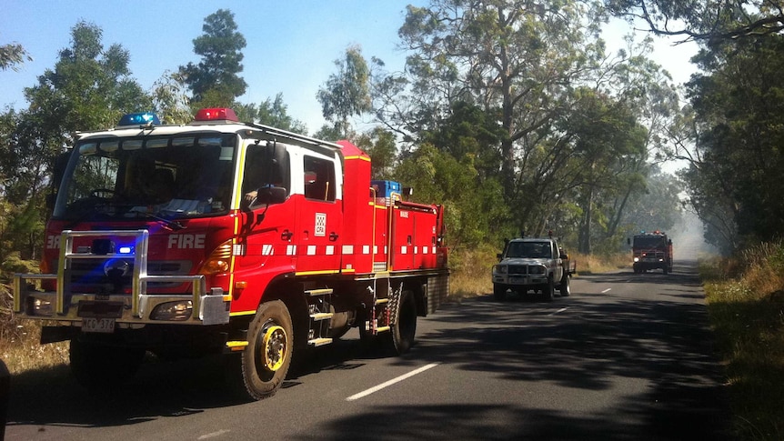 Fire trucks near the Dartmoor pine plantation
