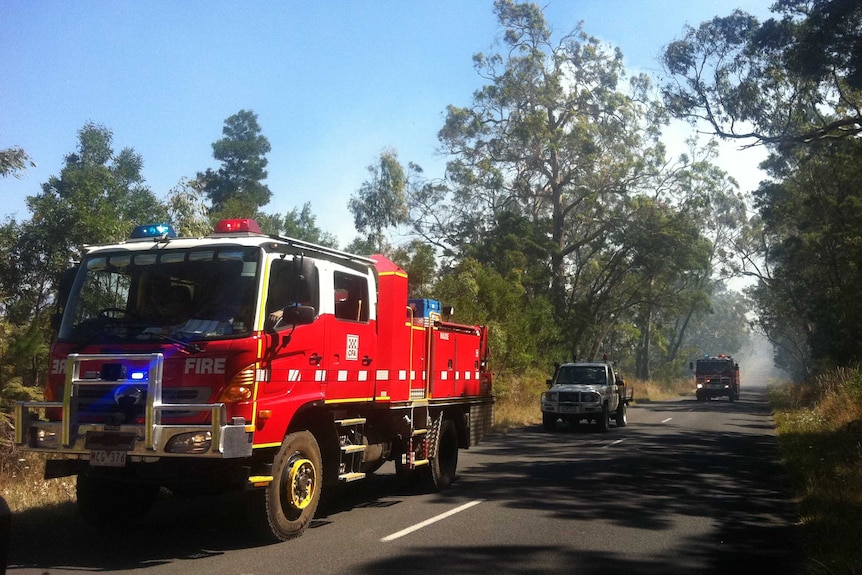 Fire trucks near the Dartmoor pine plantation