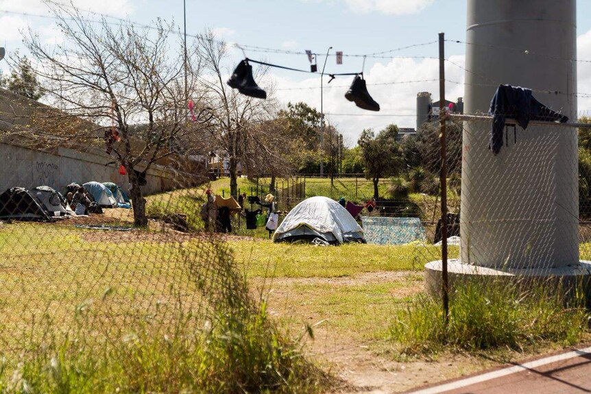 A line of tents at the Lord Street camp.