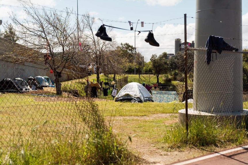 A line of tents at the Lord Street camp.