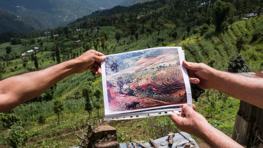 Photo of cleared plantation held in front of flourishing land to compare