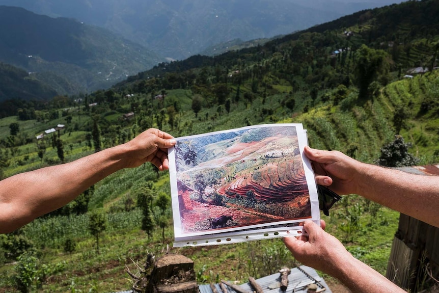 Photo of cleared plantation held in front of flourishing land to compare