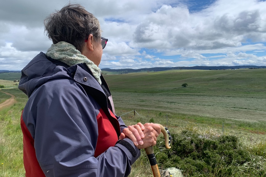 Photo of an older woman staring in the distance at sheep.