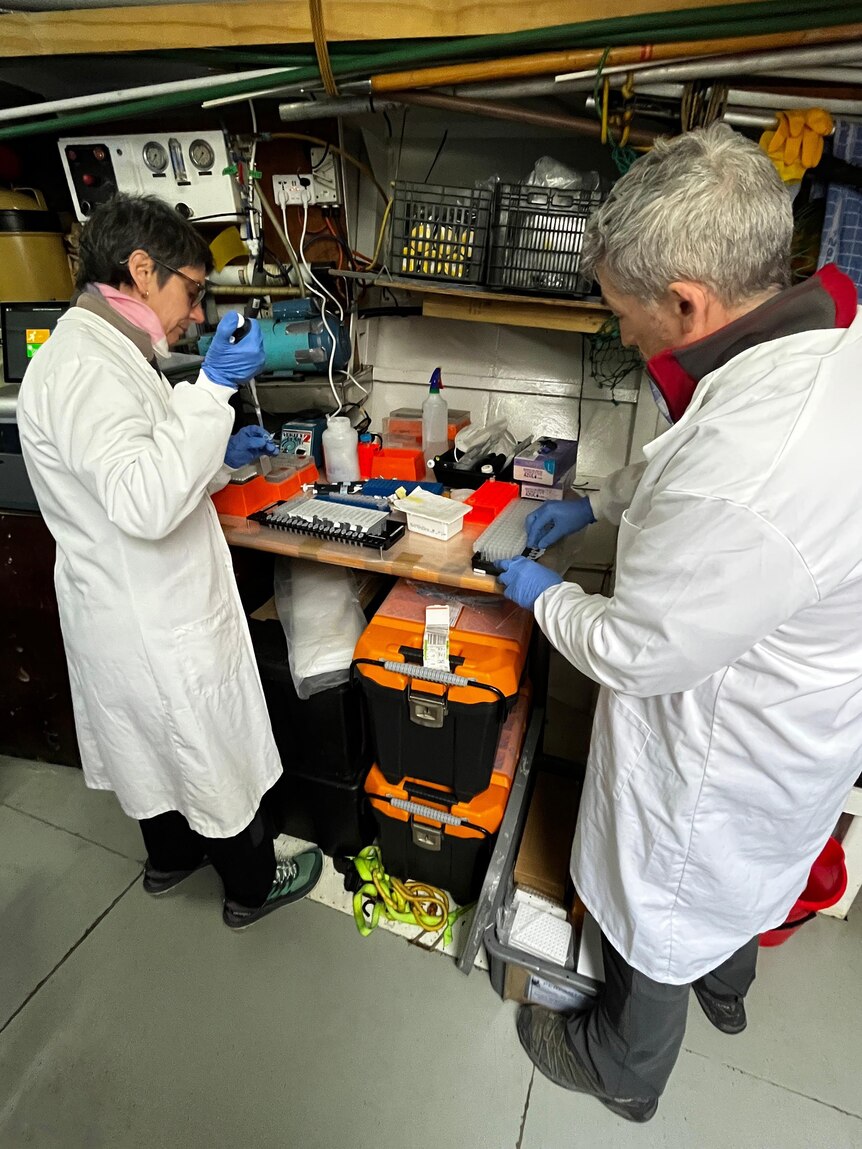 Two scientists in lab coats processing samples. 