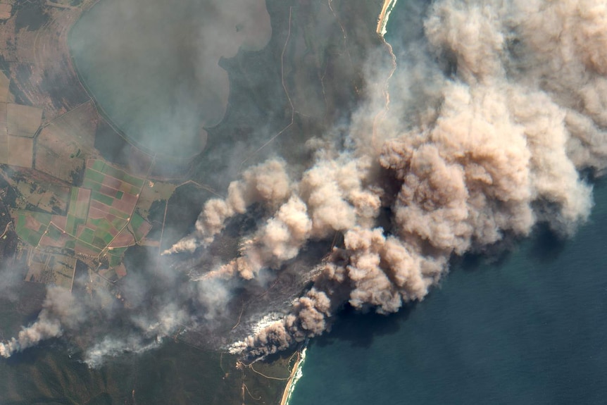 An aerial view of smoke plumes being blown over the coast and out to sea.