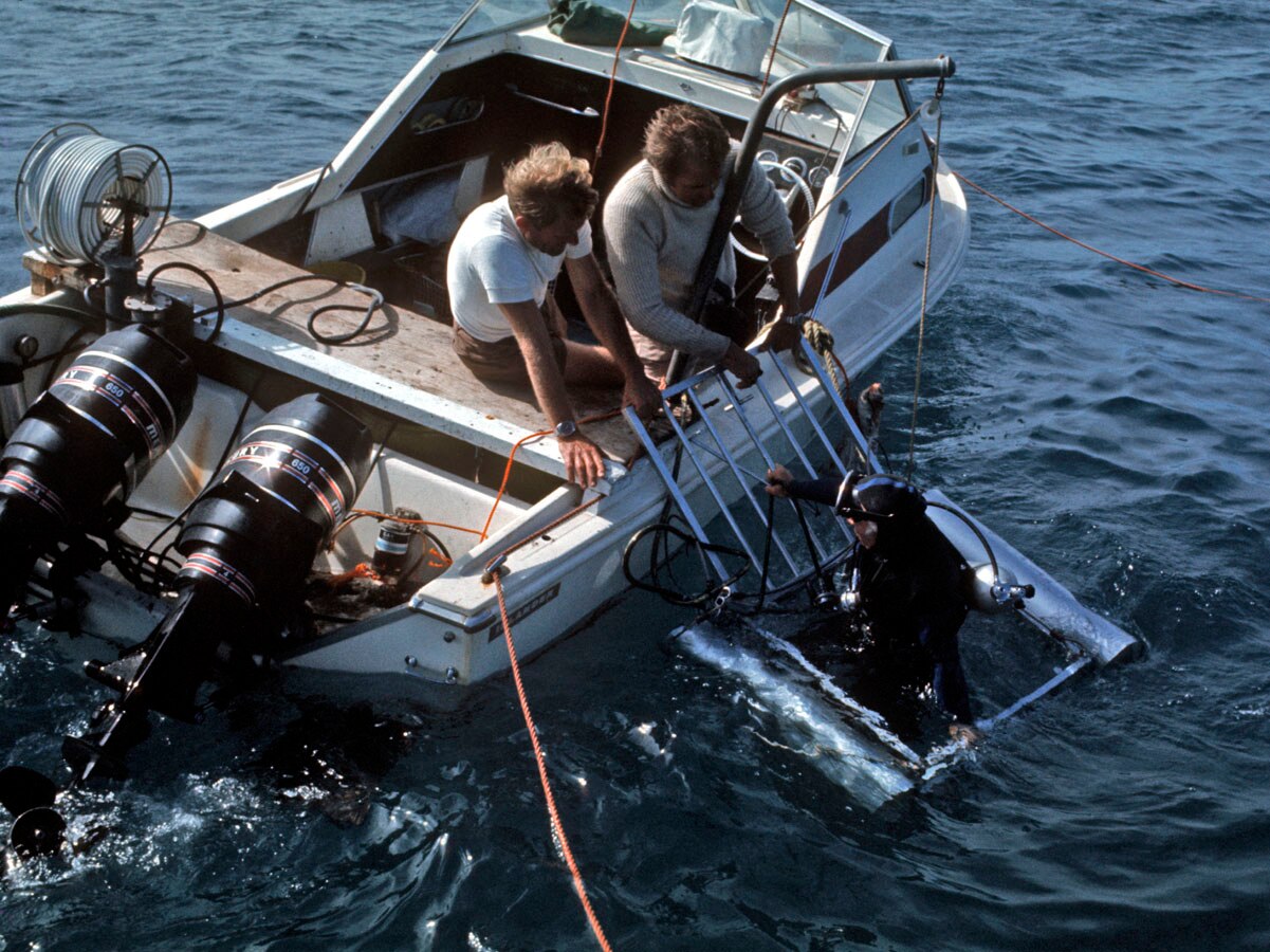 Man in a scubasuit stands in a metal cage in the ocean, two men in a small boat look over edge and chat to him