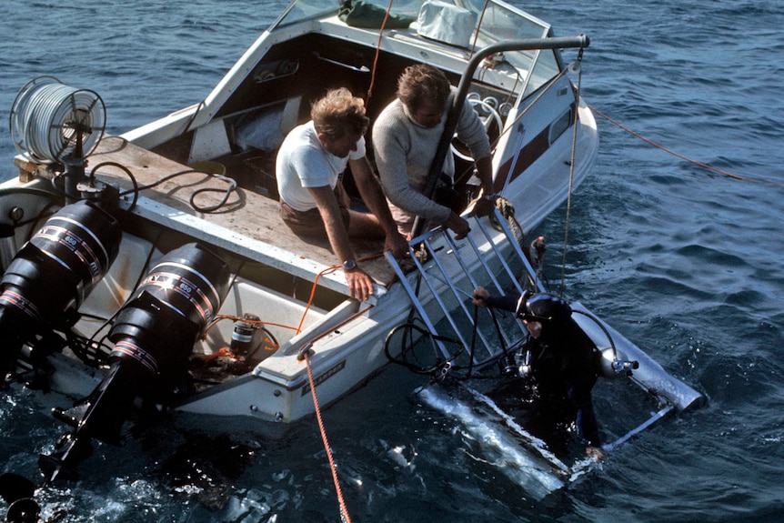 Man in a scubasuit stands in a metal cage in the ocean, two men in a small boat look over edge and chat to him